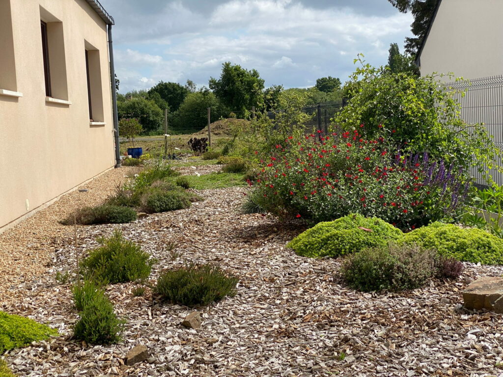 jardin de paillage sans tonte à Plouézec
